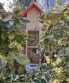 domek-dla-owadow-zapylajacych-hotelik-wiszacy.png